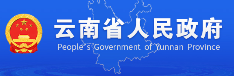 中共云南省委 云南省人民政府印发 《云南省推进作风革命加强机关效能建设的若干规定（试行）》