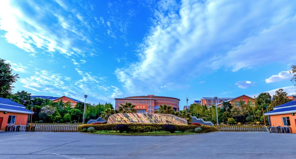 保山中医专在云南省第一届社会心理健康征文大赛中获佳绩